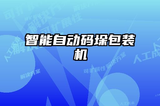 智能自動(dòng)碼垛包裝機(jī)